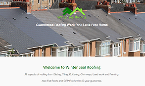 Winter Seal Roofing